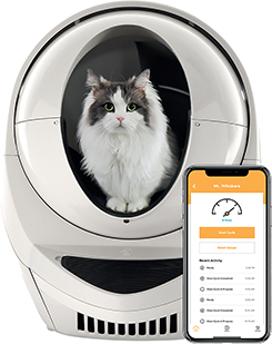 Interactive Cat Feeder - Wirral Whiskers