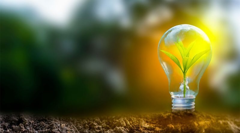 Image of a lightbulb outside on the soil with a plant growing inside it to support clean energy manufacturing article