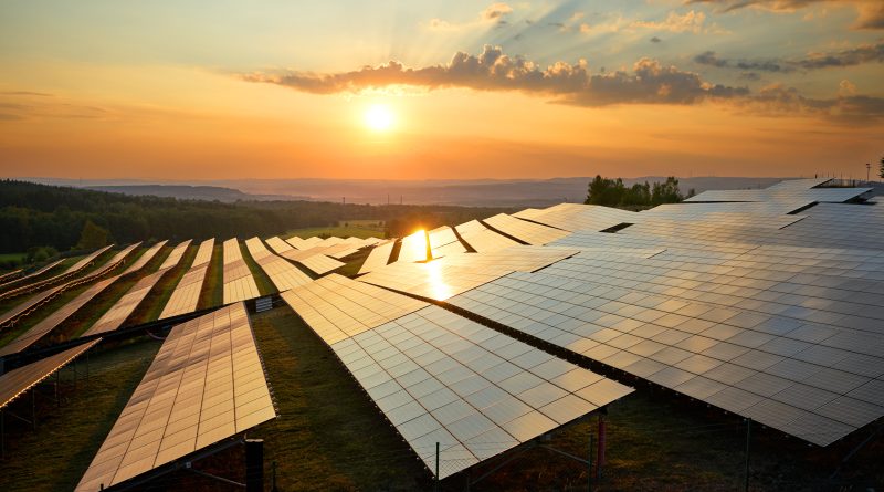 Image of a solar panel farm in front of an orange sunset to support solar manufacturing article
