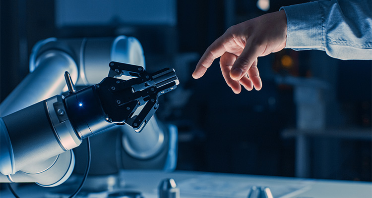 Robot arm and human hand