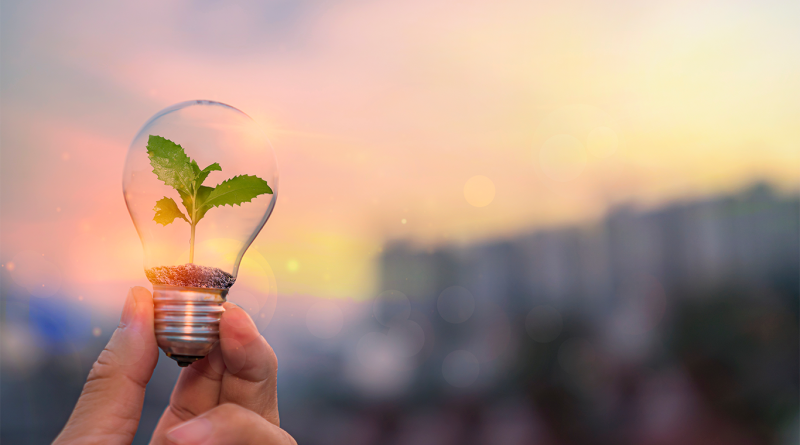 Person holding lightbulb with plant growing inside to support clean energy article