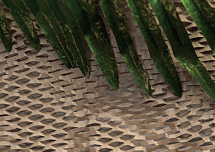 Plant growing through honeycomb paper