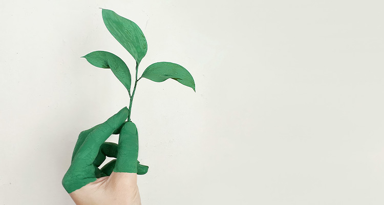 hand holding green plant