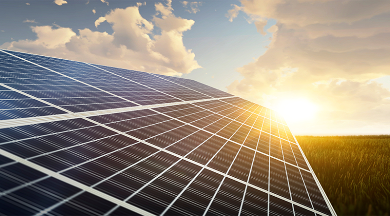 solar panels laid out in a large field to support US tariffs on solar panels article