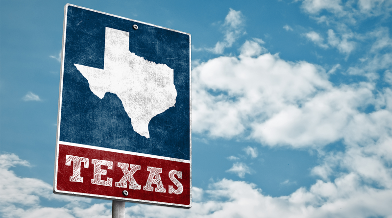 Texas flag to support manufacturing facility article