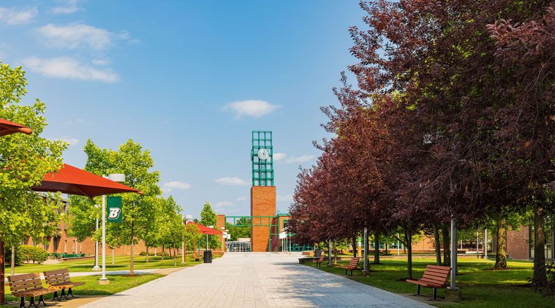 Sunny day time view of Binghamton University