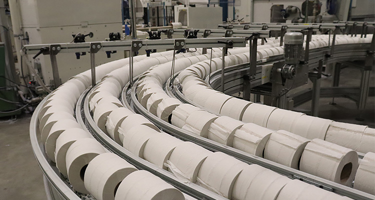 Toilet rolls on a production line