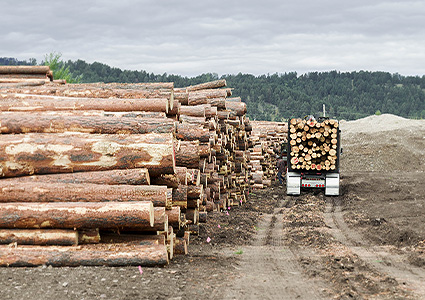 Truck hauling logs from stockpile