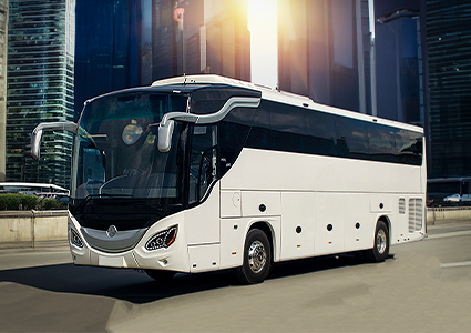 White single deck coach