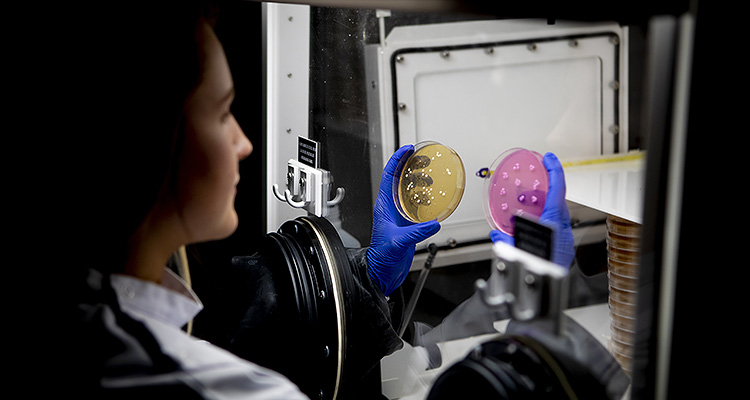 a esearcher is wearing protective blue gloves to handle samples within a specialized environment designed to prevent contamination.