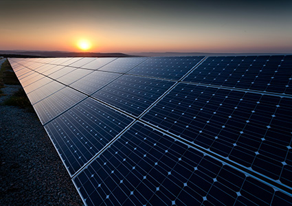 Solar panels in a field