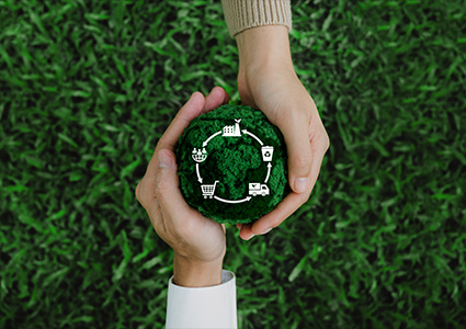 the concept of a circular economy and life cycle assessment