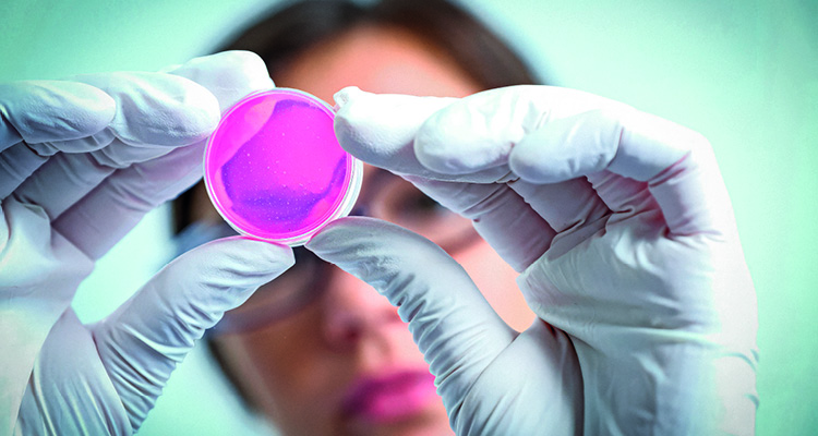 How Evergen combines world-class biomaterials with a patient-first mindset to solve challenges within re-generative medicine a scientist holding a Petri dish containing a pink substance