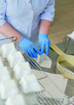 A worker wearing blue sanitary gloves is manually wrapping white food blocks in paper.