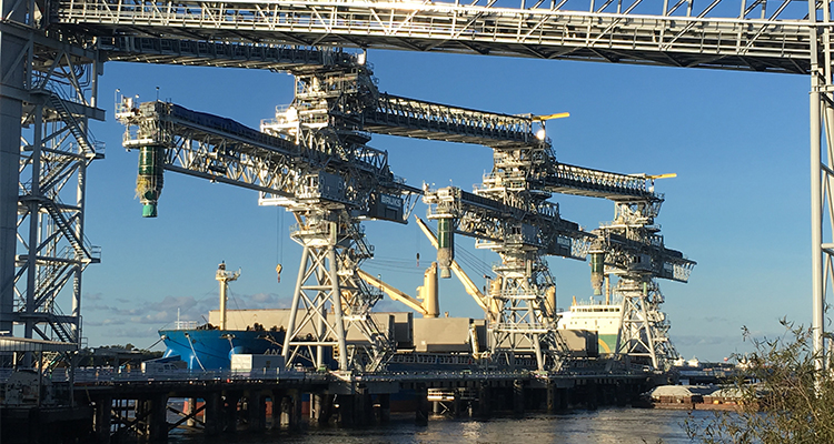 busy industrial shipping port featuring massive Bruks Siwertell dry bulk ship loaders operating along a deep-water pier