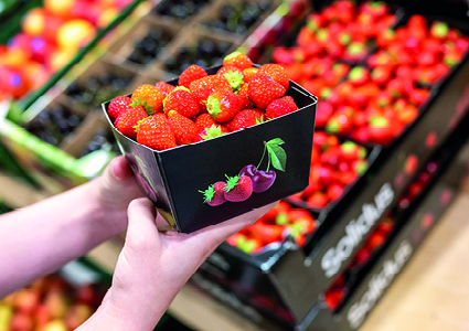 a close-up shot captures a person holding a cardboard basket overflowing with fresh strawberries