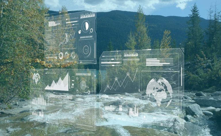 Environmental visual